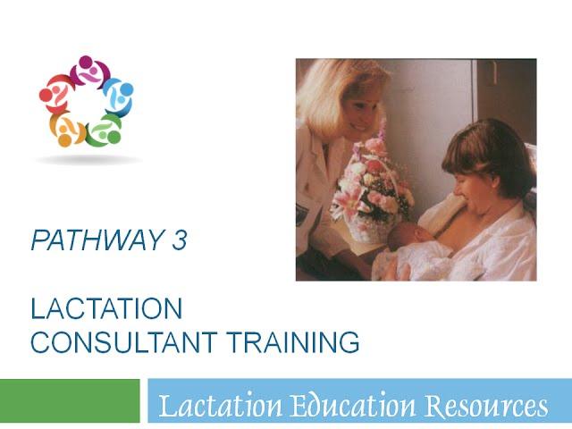 IBLCE Pathway Three Explained