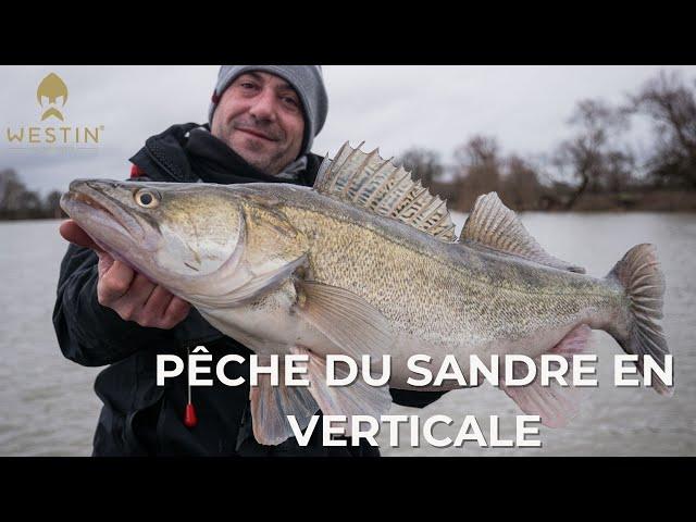 PÊCHE DU SANDRE EN VERTICALE | Westin Fishing France