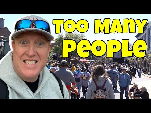 Is it worth going to Disney World at Spring Break?