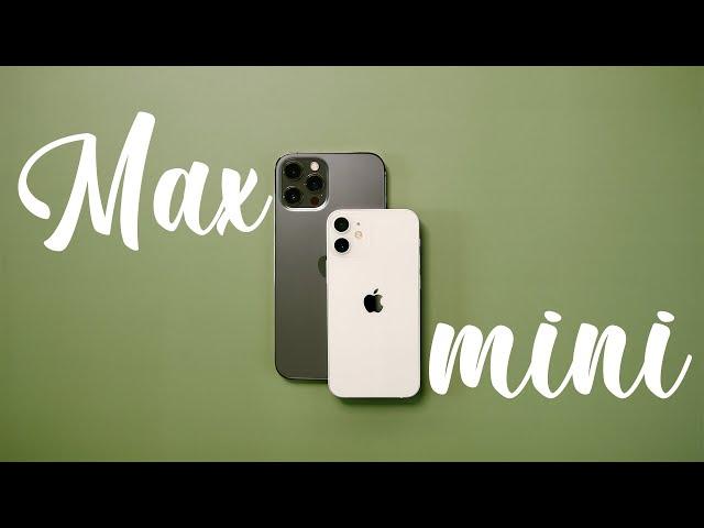 iPhone 12 mini vs iPhone 12 Pro Max Detailed Camera Comparison