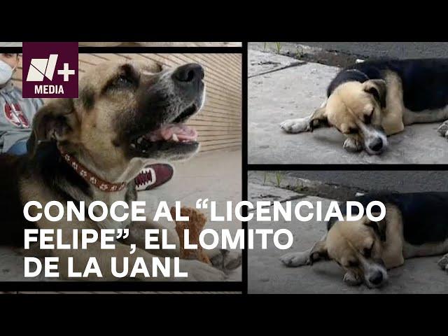 Adoptan al "Licenciado Felipe" en facultad de Derecho de la UANL - N+Prime