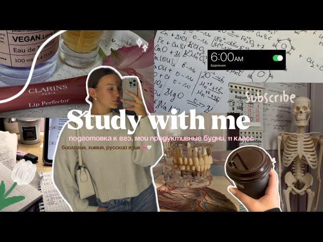 STUDY WITH ME | подготовка к ЕГЭ, мои продуктивные будни, 11 класс 