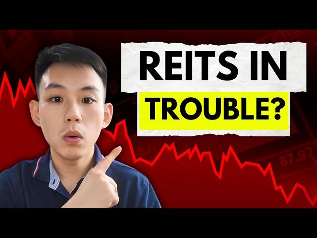 Why REITs Are Falling AGAIN | Top 3 Resilient REITs to BUY