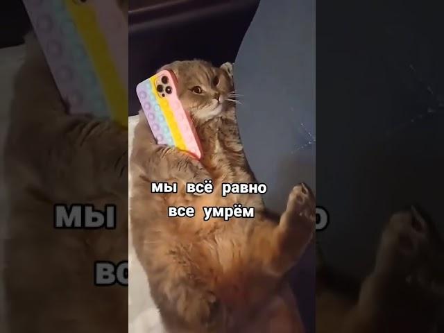 когда лень идти на работу 