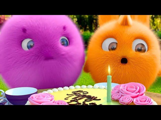 Cartoon   Sunny Bunnies - Special Compilation 110-119  Videos For Kids