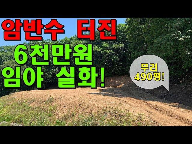 암반수 터진 490평 임야가 겨우 6천만원?!?! 주변 풍경도 끝내줍니다! [한울 45]