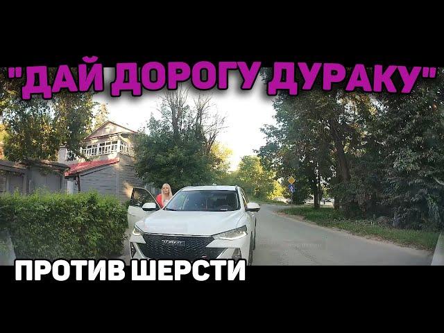 Автоподборка "Дай Дорогу Дураку"Едет против шерсти#427