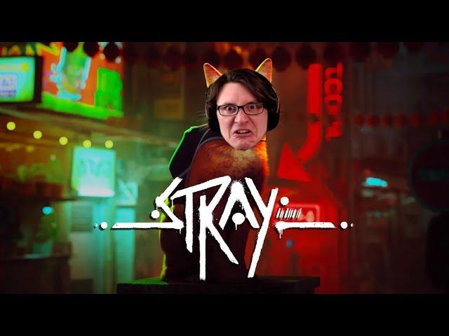 Stray - Longplay - Full Playthrough