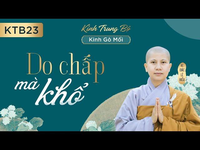 Do chấp mà khổ - Kinh Trung Bộ 23a - Kinh Gò mối - SC. Giác Lệ Hiếu