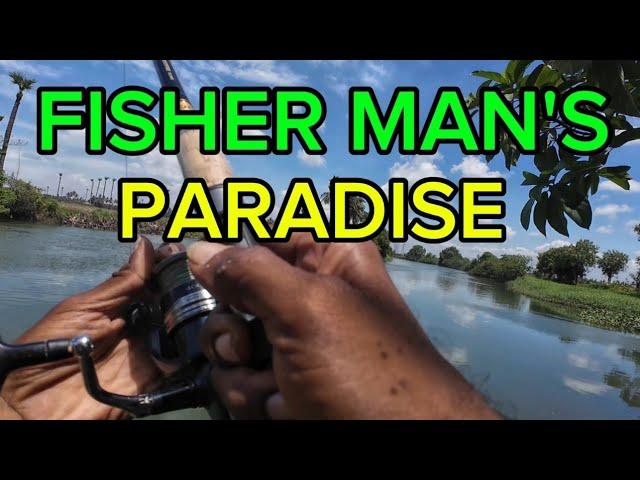 Back to back catches in my beautiful village river || Spider hook fishing || fishing videos ||