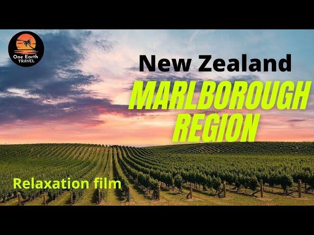 Marlborough Region New Zealand | beautiful travel places | most beautiful places | one earth travel