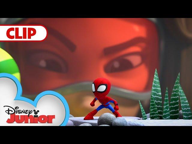 Itsy-Bitsy Spiders | Marvel’s Spidey and his Amazing Friends | @disneyjunior