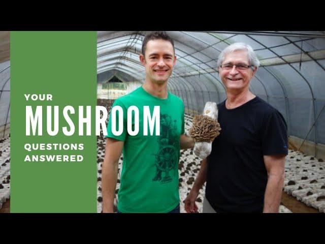 Medicinal Mushrooms FAQs with Jeff and Skye Chilton