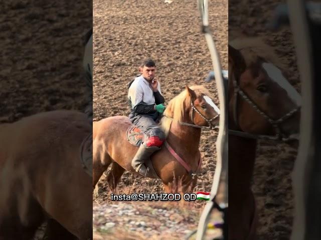 Бузкаши 1 12 2024 Ш Хисор ХОЧИ АКБАР Човандози Ш Хисор Асп Бо Ном САБХА #top #horse #horsel #rek