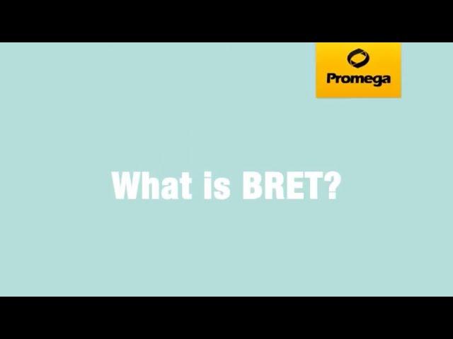 What Is BRET?