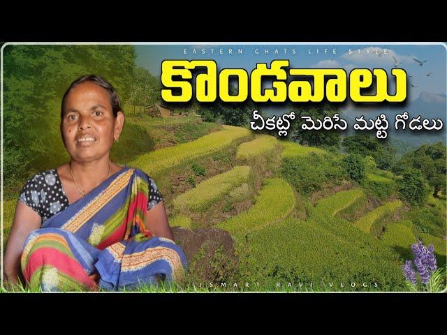 Tribal village Location in dense forest || natural life style || #villages