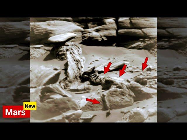 Mars Life Unbelievable Strange Images Capture by NASA's Mars Rover - Perseverance Curiosity LIVE