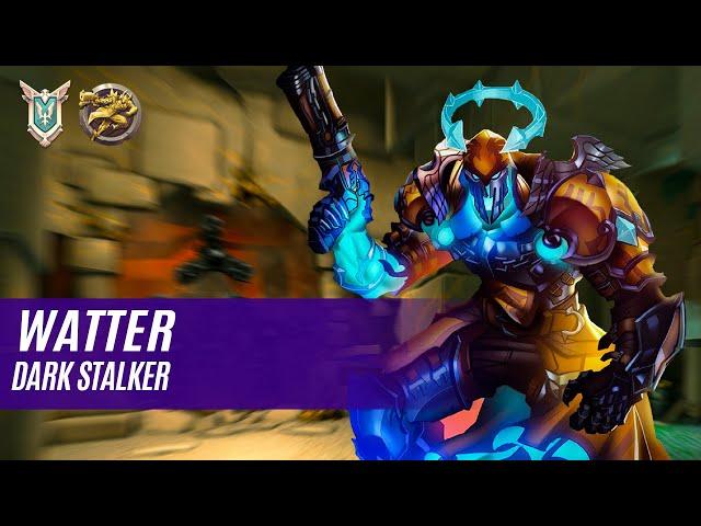 wätter ANDROXUS PALADINS COMPETITIVE (MASTER) DARK STALKER