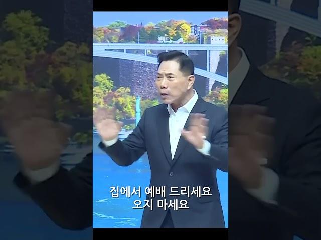 평화나무 사행시