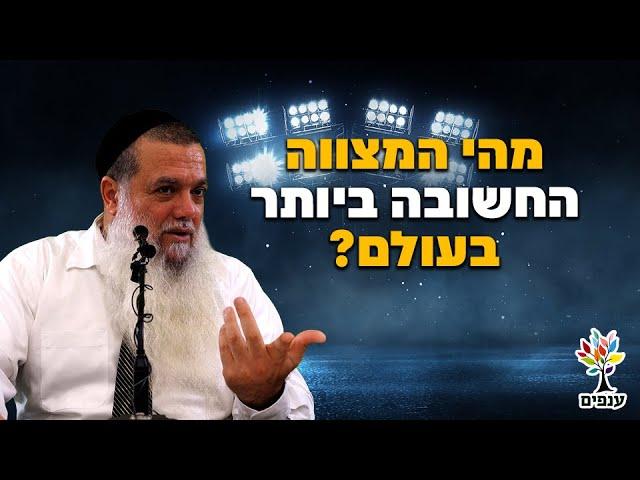 הרב יגאל כהן - מהי המצווה החשובה ביותר בעולם? - עם שפת סימנים