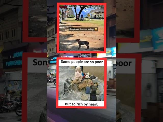 focus one egnor everyone it's not true  #bestmemes