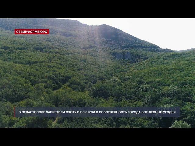 В Севастополе запретили охоту и вернули в собственность города все лесные угодья