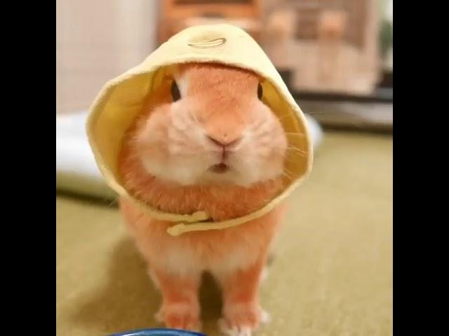 Милашка