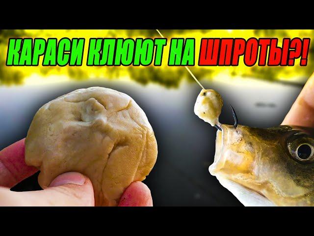 КАРАСИ КЛЮЮТ на ШПРОТЫ?! Рыбачу на ШПРОТНОЕ ТЕСТО по рецепту от ПОДПИСЧИКА!