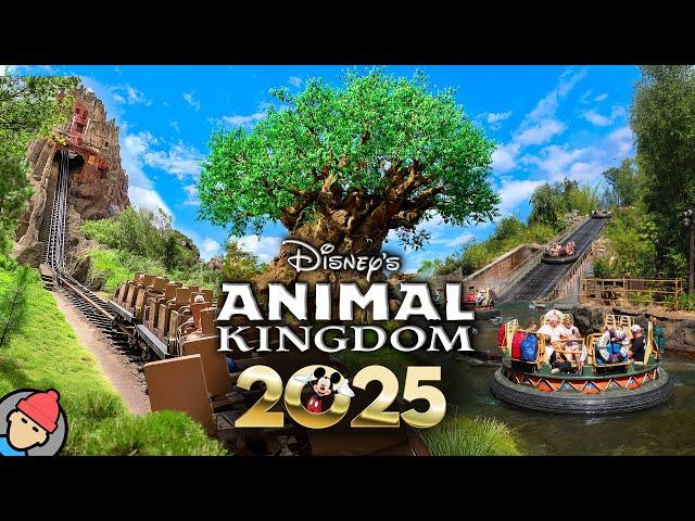 Disney's Animal Kingdom RIDES & ATTRACTIONS 2025 | Walt Disney World