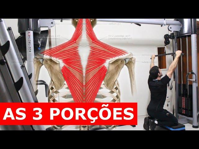 TREINO COMPLETO DE TRAPÉZIO - 5 EXERCÍCIOS (todas as 3 porções)