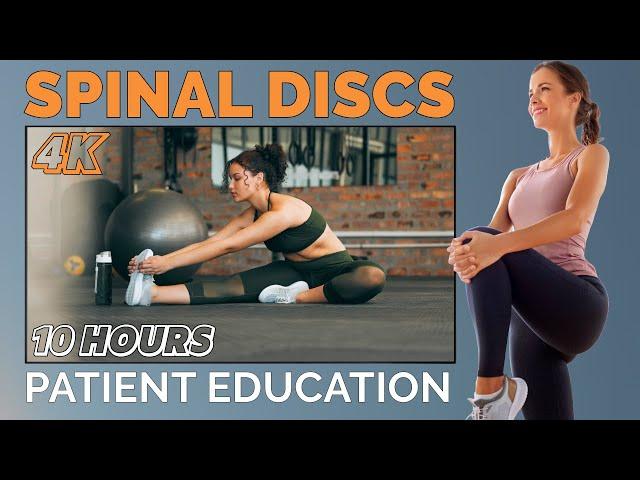 4K Patient Education: Spinal Discs | Stream in Your Chiropractic Office