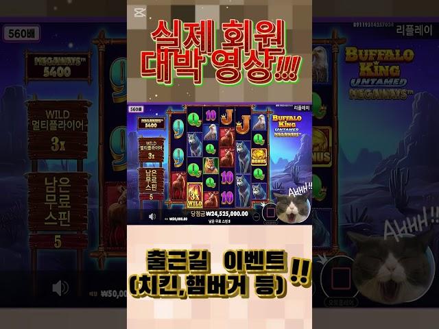 [슬롯실시간]실배팅 인생역전 슬롯 #슬롯 #슬롯 실시간 #슬롯대박 #슬롯잭팟 #카지노 #성인놀이터 #바카라 #바카라실시간 #실시간바카라