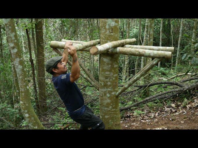 How to make a tree shelter? \\ Bushcraft Survival