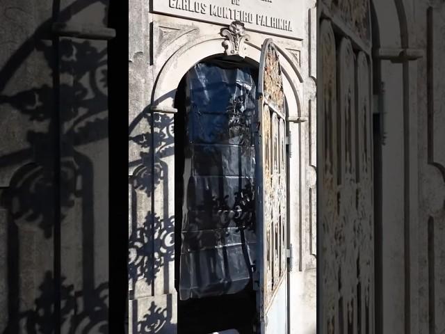 What’s living in the creepy shower curtain crypt? #cemetery #travel #lisboa