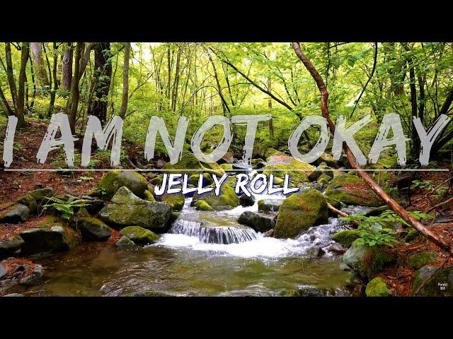 Jelly Roll - I Am Not Okay (Lyrics) - Audio at 192khz