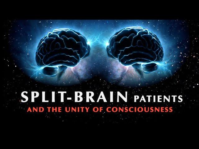 Split-Brain Patients and the Unity of Consciousness | Documentary