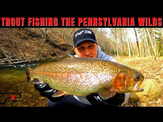 Trout Fishing The PA Wilds