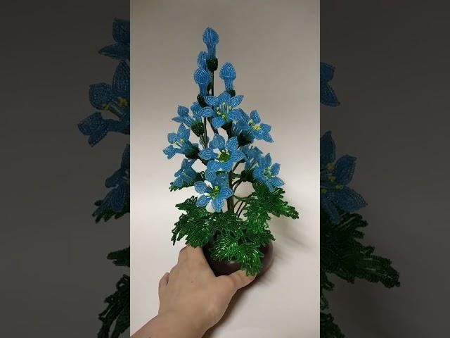 колокольчики