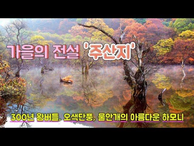 주산지 | 가을여행 버킷리스트 | 반영 | 물안개 | 촬영지소개 꿀팁 | 반영 | landscape photography |4k|