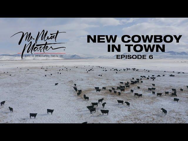 New Cowboy in Town - EP. 6 Sitz Angus Ranch & Cross Ranch in Dillon, Montana