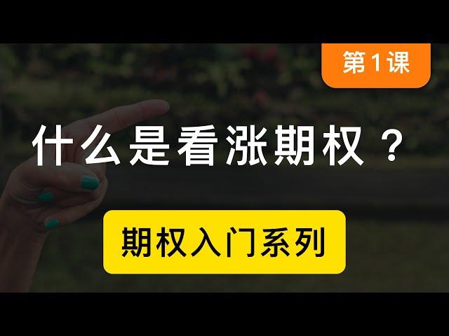 「期权第一课」什么是看涨期权？美股期权和比特币期权交易原理，适合小白的期权入门课程