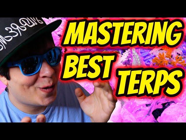 How To Master BEST Terps