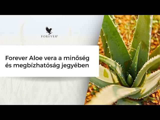 Forever Aloe vera a minőség és megbízhatóság jegyében (Szabóné Dr. Szántó Renáta - 2024. 11. 20.)