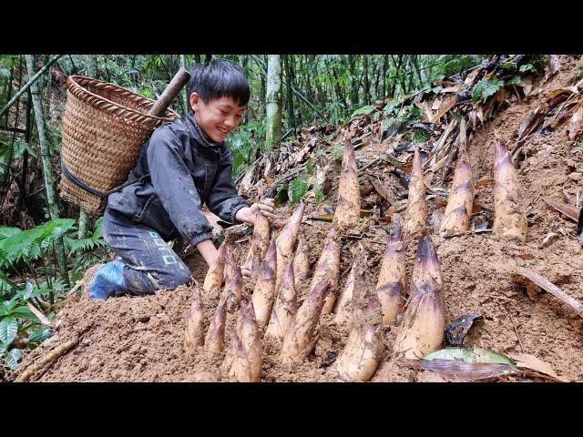 Full video:95 days,the boy met his grandmother, lived with her, picked fruits and vegetables to sell