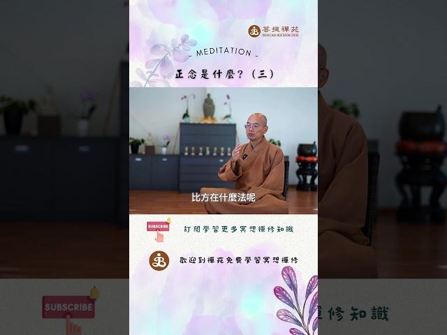 禪修冥想中提到的正念是什麼? （三）| 歡迎線下來菩提禪苑免費學習冥想| What is meditation? Learn meditation #meditation