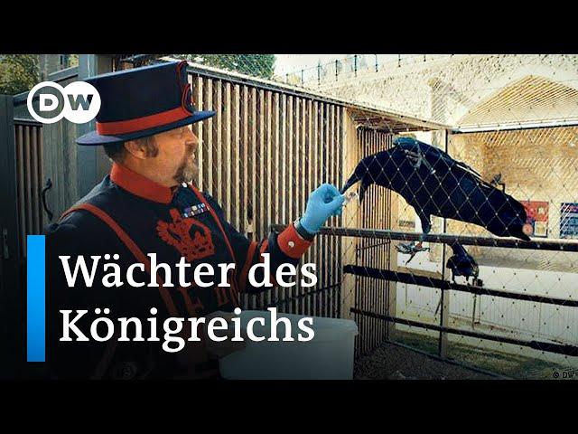 Der Rabenmeister vom Tower of London | DW News