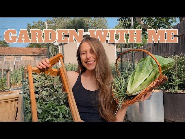 A Realistic Week In My Life GARDENING, Harvesting, Preserving & Planting! MAY VLOG!