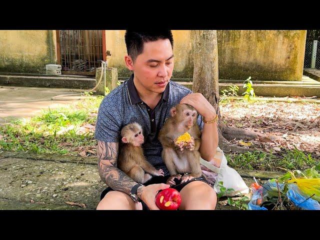 Monkey Kaka and Mit are happy with their rare time with father