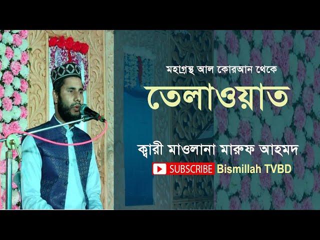 হৃদয় জুড়ানো তেলাওয়াত। QARI MARUF AHMED । BISMILLAH TVBD