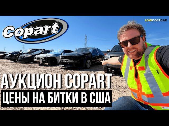 Обзор Битков на Аукционе Copart | Цены на Авто в США 2025 | Выгодно Покупать или Нет?